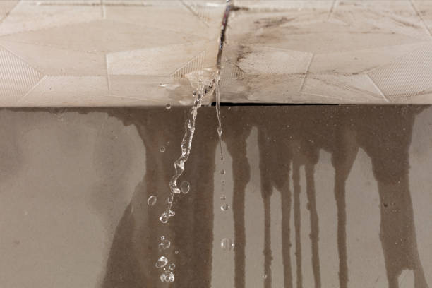 Professional Structural Drying technician working in Cleburne, TX